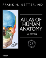 Atlas Of Human anatomy. NETTER.pdf